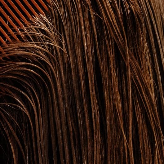 The Works at LBZ Hair Company in Pelham, AL